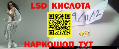 PSILOCYBIN Новокубанск