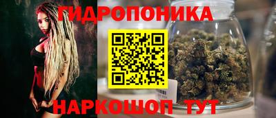 каннабис Новозыбков