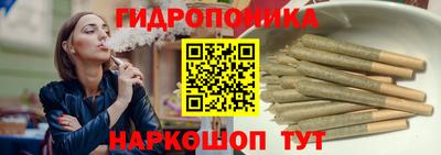 скорость Новодвинск