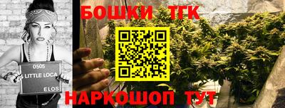 PSILOCYBIN Новокубанск