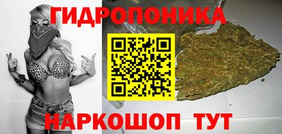 скорость Новодвинск