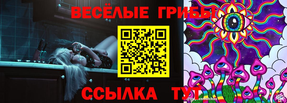 Псилоцибиновые грибы Cubensis Урай