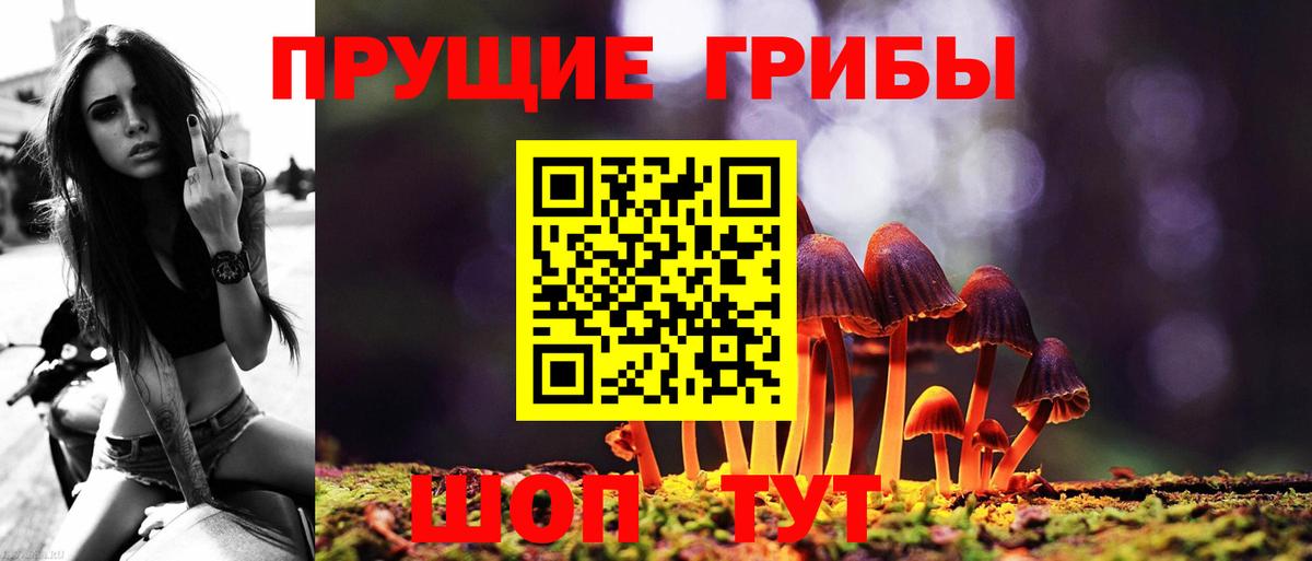 цена наркотик  Вход с VPN  Галлюциногенные грибы GOLDEN TEACHER  Урай  Псилоцибиновые грибы мицелий 